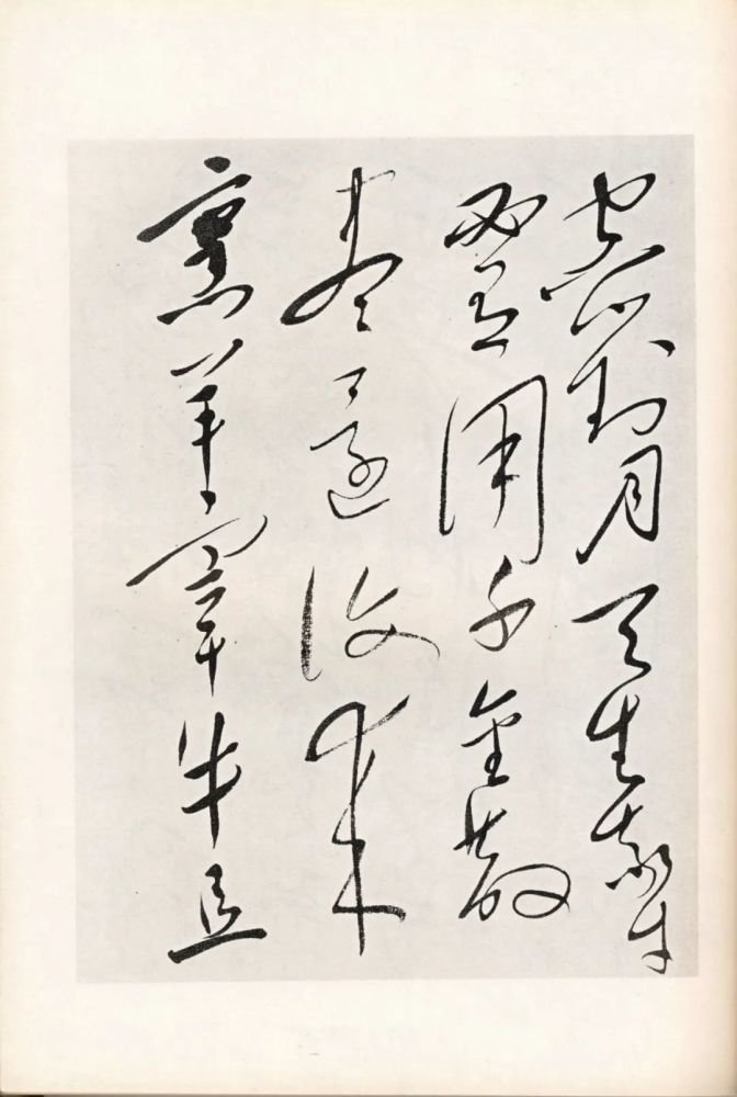 毛泽东草书《将进酒》 3